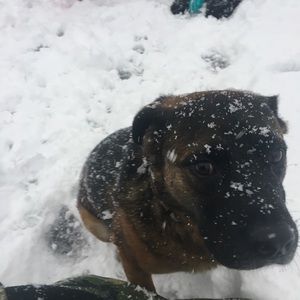 Meet your Posher, Bryan